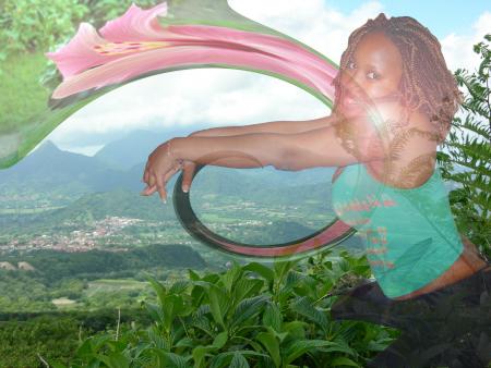 le delire d'harry